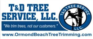 Tree Service Part 2
