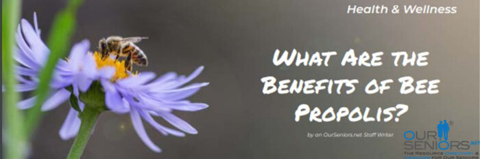 What are the benefits of bee propolis?