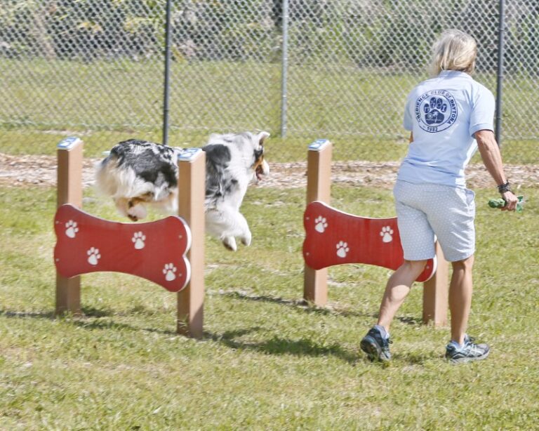 Halifax Humane Society 1 768x614