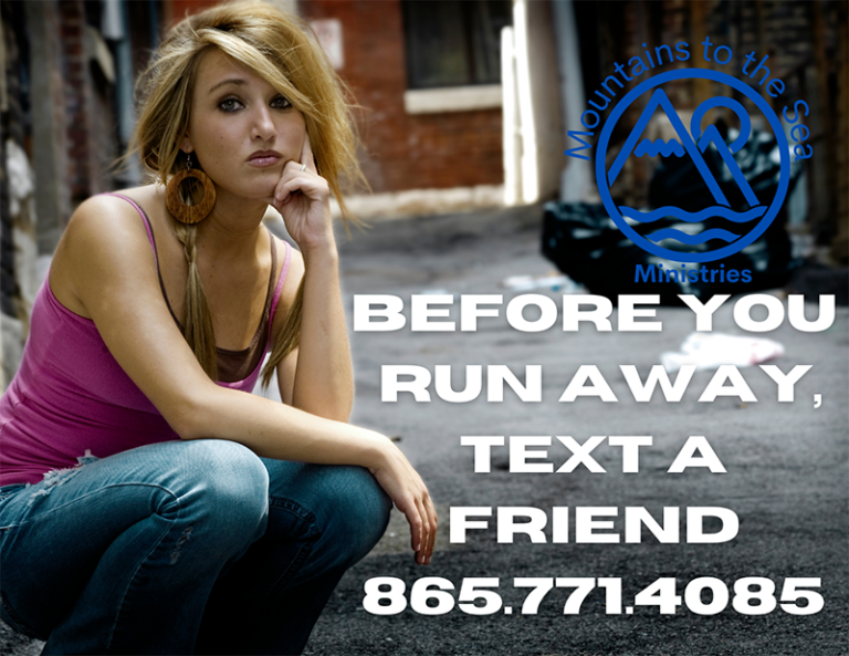 Mountains to the Sea Ministries 768x593