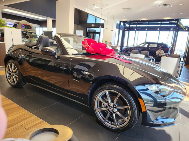 Sport Mazda North 3 768x576