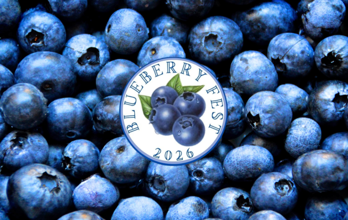 blueberry fest 2026